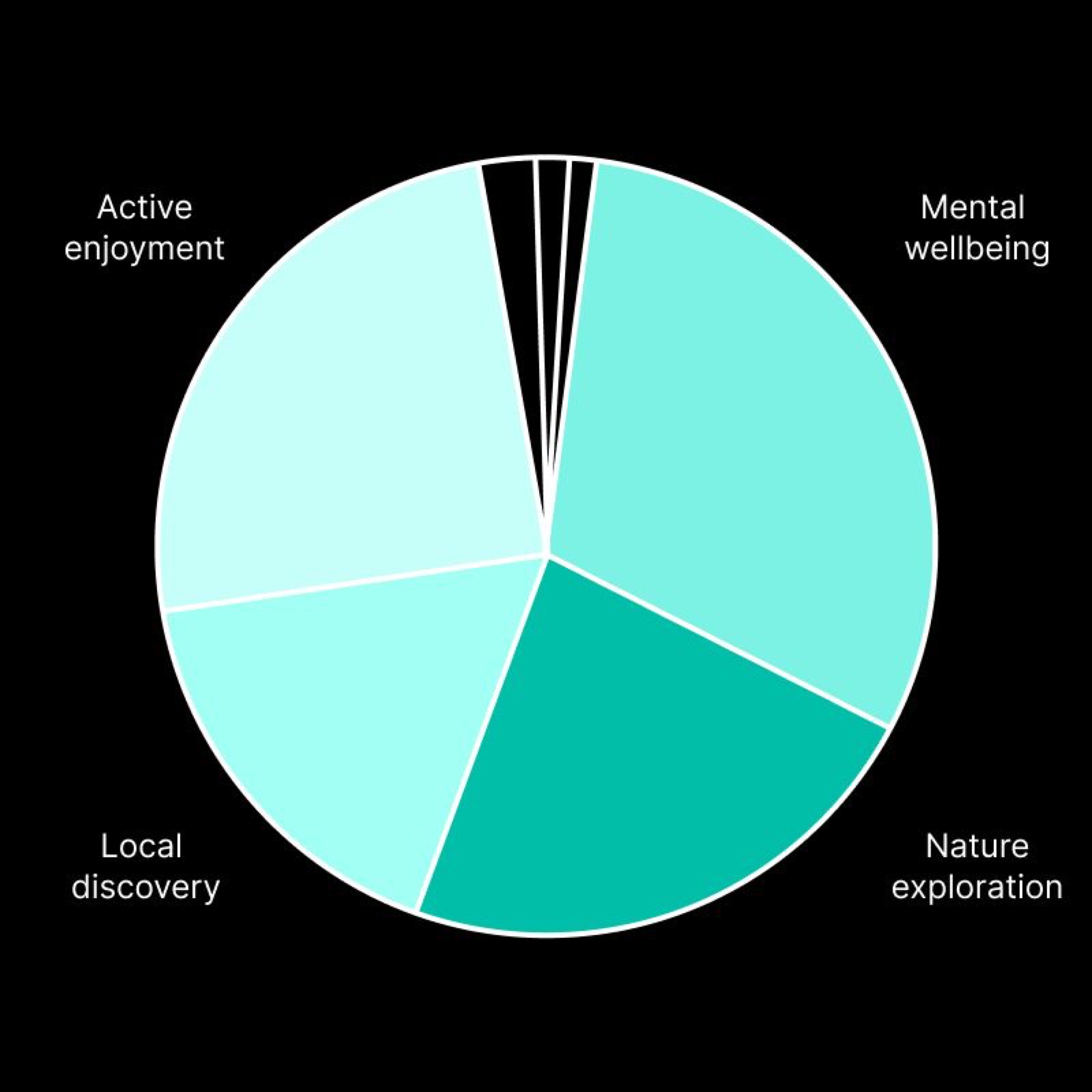 Pie chart of outdoor motivations: mental wellbeing, nature exploration, local discovery, active enjoyment
